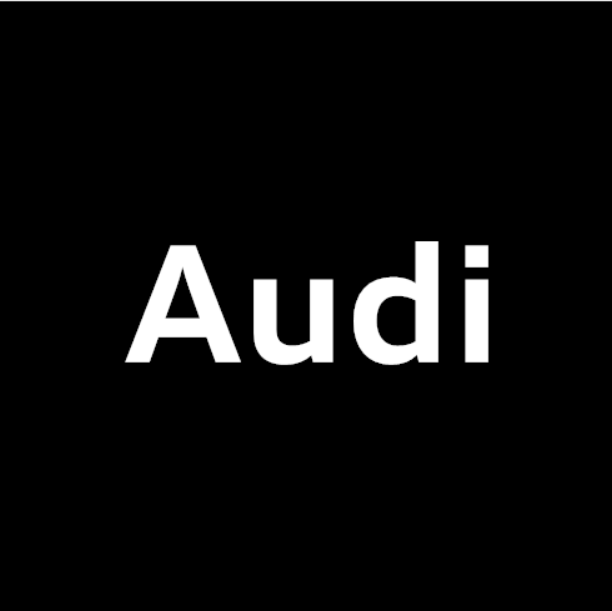 Audi Scheibenkeile