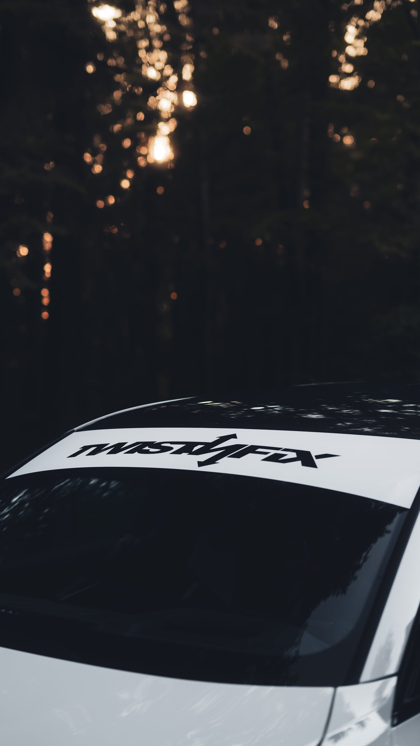 Scheibenkeil "twistnfix"